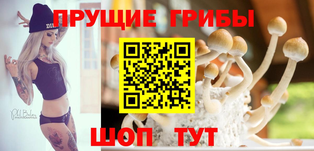 Псилоцибиновые грибы GOLDEN TEACHER Геленджик