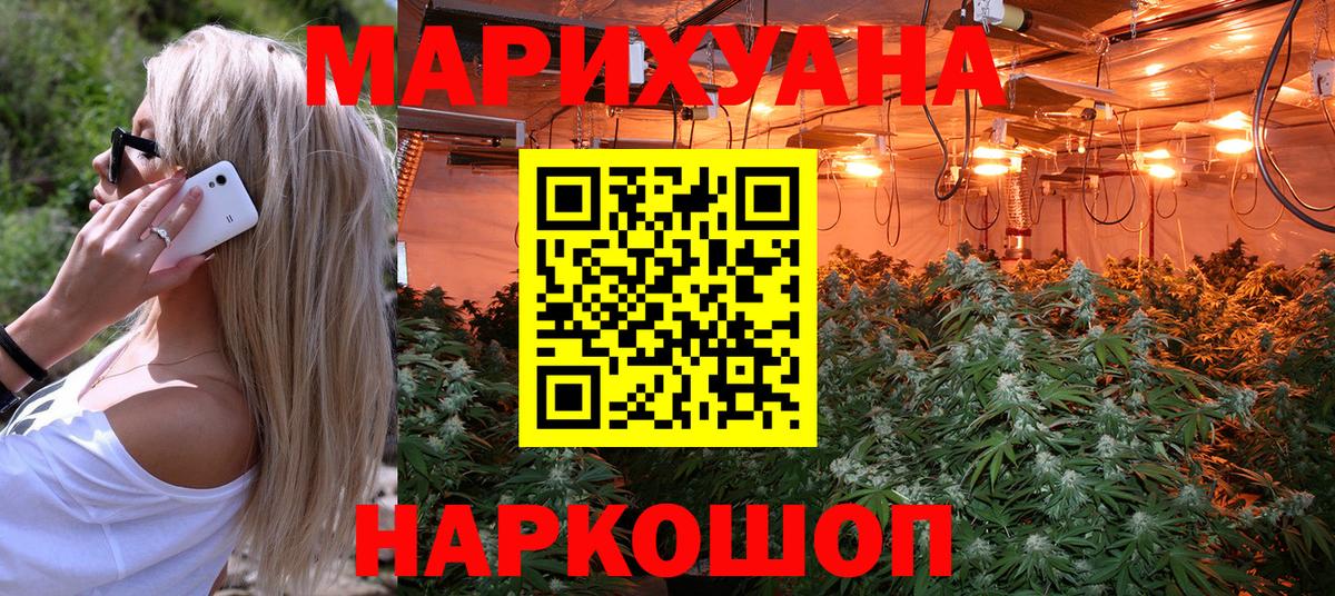 Бошки марихуана марихуана  МАРИХУАНА ГИДРОПОН  Геленджик  Вход с VPN  МАРИХУАНА OG Kush  Конопля Bruce Banner 